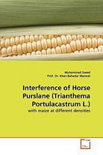 Interference of Horse Purslane (Trianthema Portulacastrum L.)