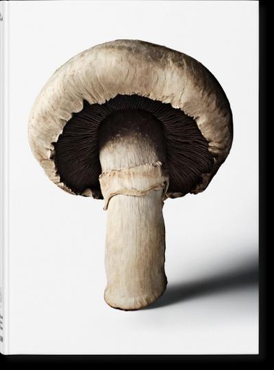 The Gourmand’s Mushroom