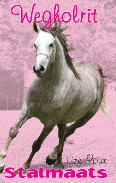 Stalmaats 16: Wegholrit