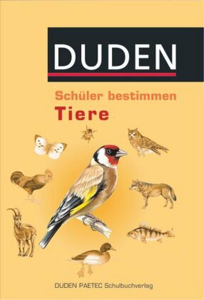 Schüler bestimmen
