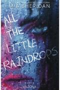 All the Little Raindrops
