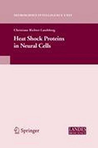 Heat Shock Proteins in Neural Cells
