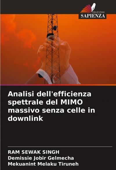 Analisi dell’efficienza spettrale del MIMO massivo senza celle in downlink