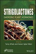 Strigolactones