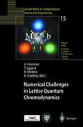 Numerical Challenges in Lattice Quantum Chromodyna