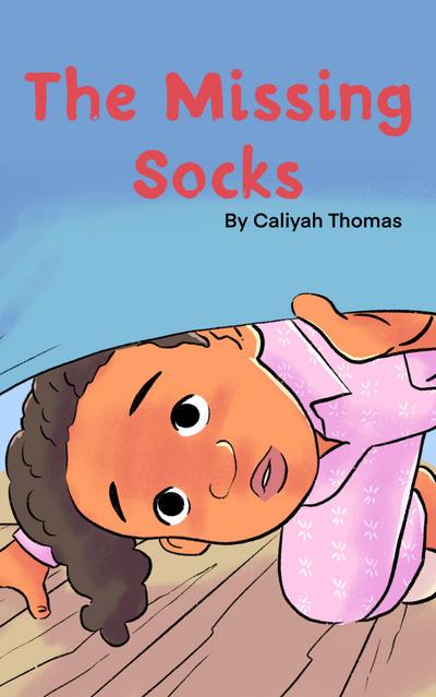 The Missing Socks