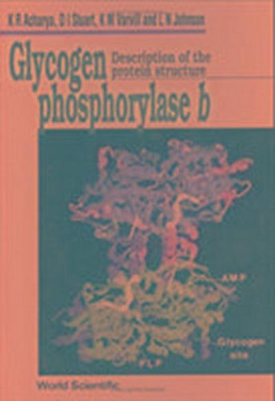 Glycogen Phosphorylase B: Description of the Protein Structure