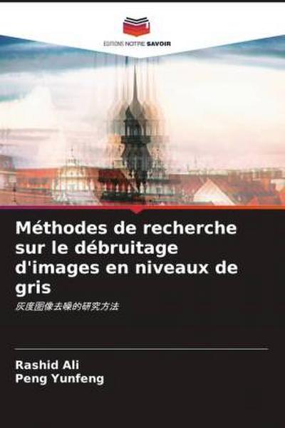 Méthodes de recherche sur le débruitage d’images en niveaux de gris