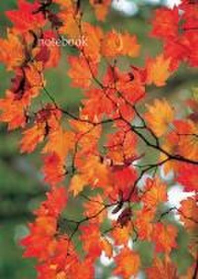 Lined Notebook: Autumn Leaf