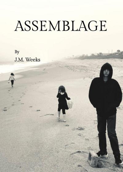 Assemblage