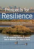 Prospects for Resilience