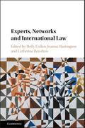Experts, Networks and International Law