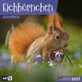 Eichhörnchen Kalender 2027