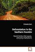 Deforestation in the Southern Yucatan