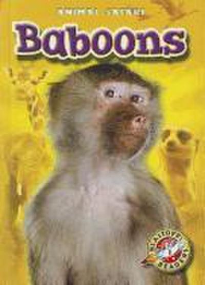 Baboons