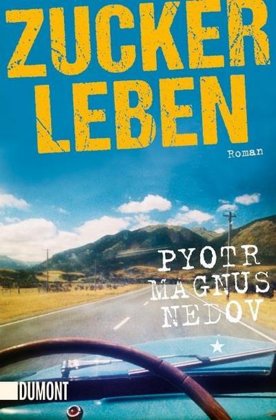 Zuckerleben: Roman (Taschenbücher)