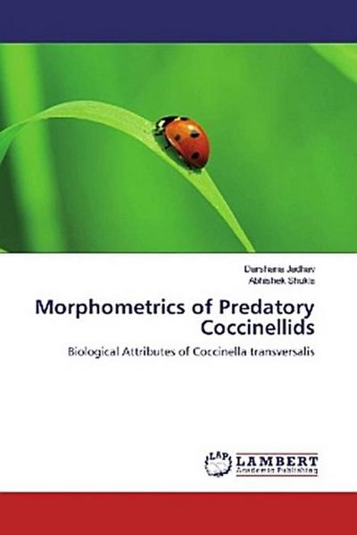 Morphometrics of Predatory Coccinellids
