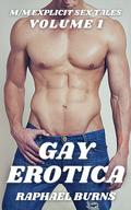 Gay Erotica - Volume 1