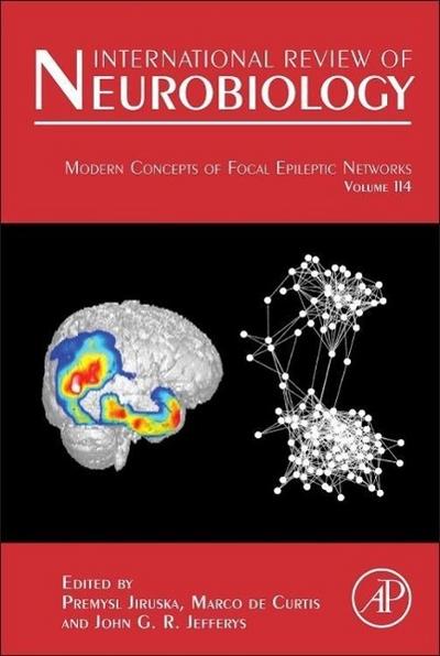 Modern Concepts of Focal Epileptic Networks