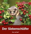 Der Siebenschläfer