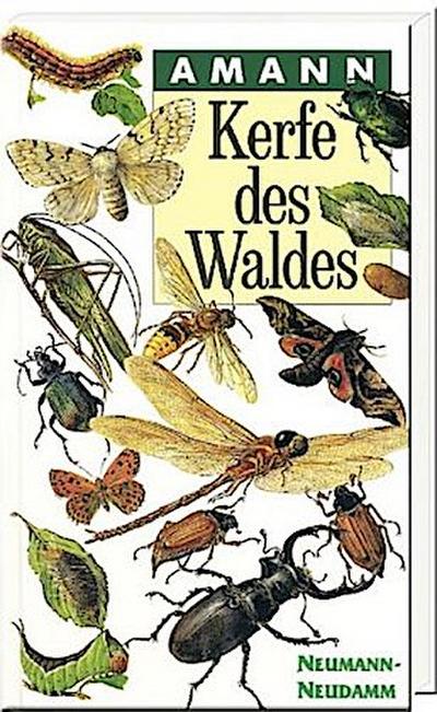 Kerfe des Waldes