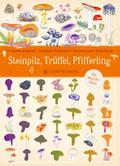 Steinpilz, Trüffel, Pfifferling