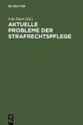 Aktuelle Probleme der Strafrechtspflege