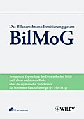 Das Bilanzrechtmodernisierungsgesetz (BilMoG)