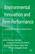 Environmental Innovation and Firm Performance