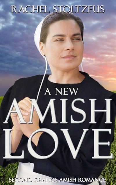 A New Amish Love (Second Chance Amish Romance, #1)