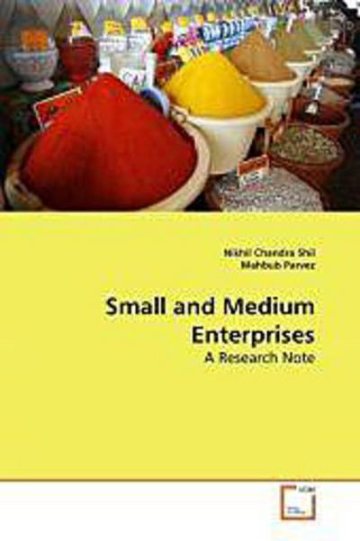 Small and Medium Enterprises