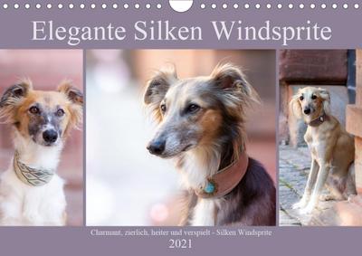 Elegante Silken Windsprite (Wandkalender 2021 DIN A4 quer)