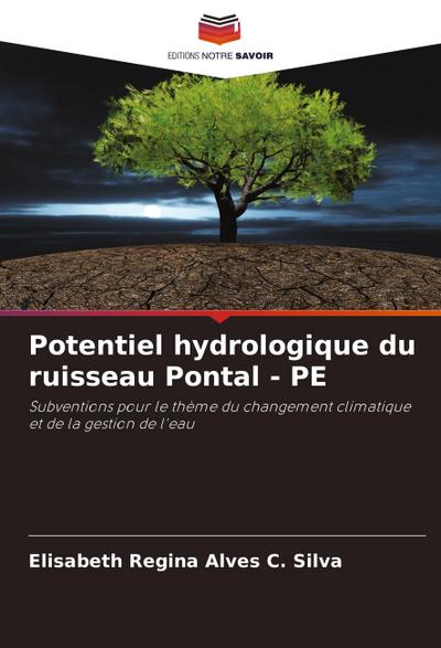 Potentiel hydrologique du ruisseau Pontal - PE