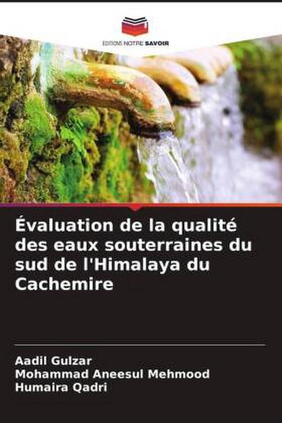 Évaluation de la qualité des eaux souterraines du sud de l’Himalaya du Cachemire