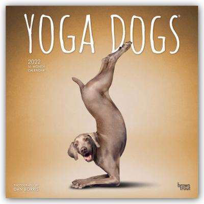 Yoga Dogs - Joga-Hunde 2022 - 16-Monatskalender