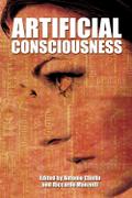 Artificial Consciousness