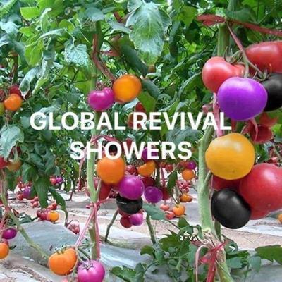 Revival Showers