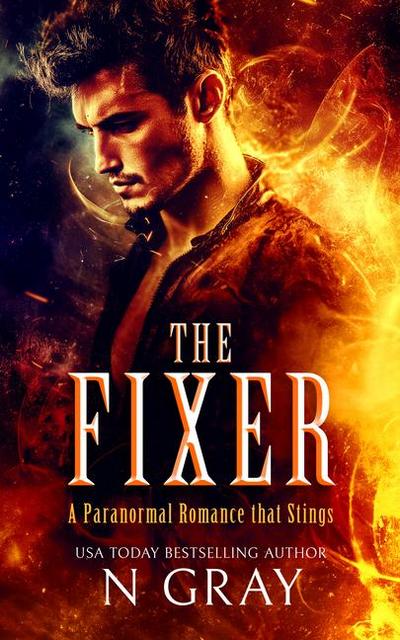 The Fixer
