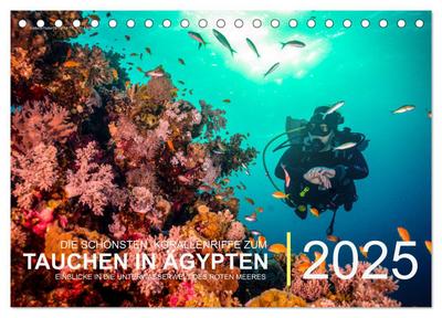 Die schönsten Korallenriffe zum Tauchen in Ägypten (Tischkalender 2025 DIN A5 quer), CALVENDO Monatskalender
