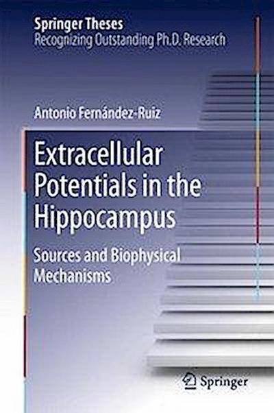 Extracellular Potentials in the Hippocampus