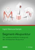 Segment-Akupunktur