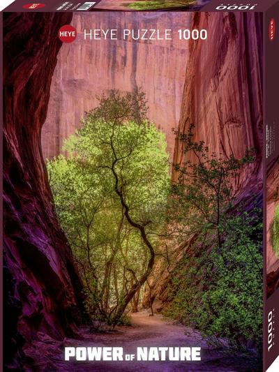 Singing Canyon Puzzle 1000 Teile