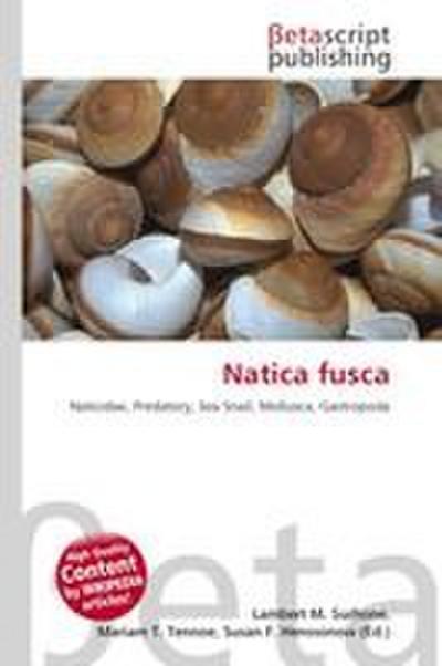 Natica fusca