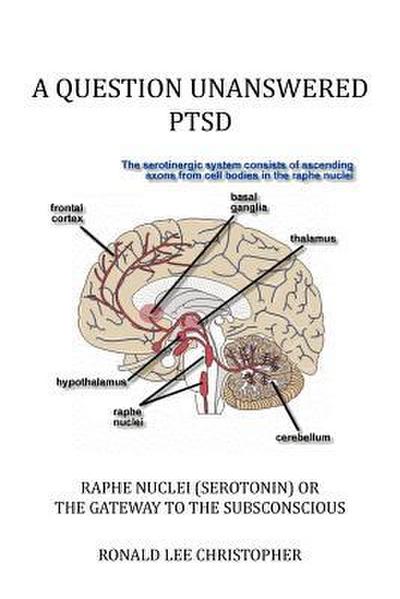 A Question Unanswered Ptsd