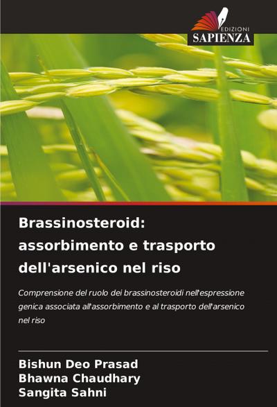 Brassinosteroid: assorbimento e trasporto dell’arsenico nel riso