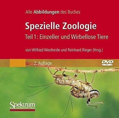 Spezielle Zoologie 1/DVD