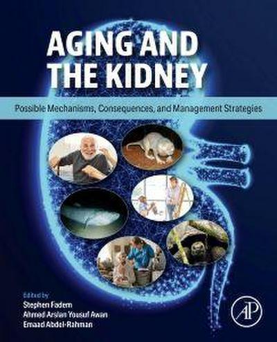 Aging and the Kidney