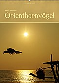 Orienthornvögel / Planer (Wandkalender 2017 DIN A2 hoch) - Bianca Schumann