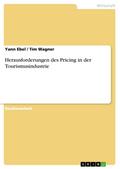 Herausforderungen des Pricing in der Tourismusindustrie