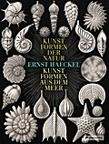 Ernst Haeckel: Kunstformen der Natur - Kunstformen aus dem Meer